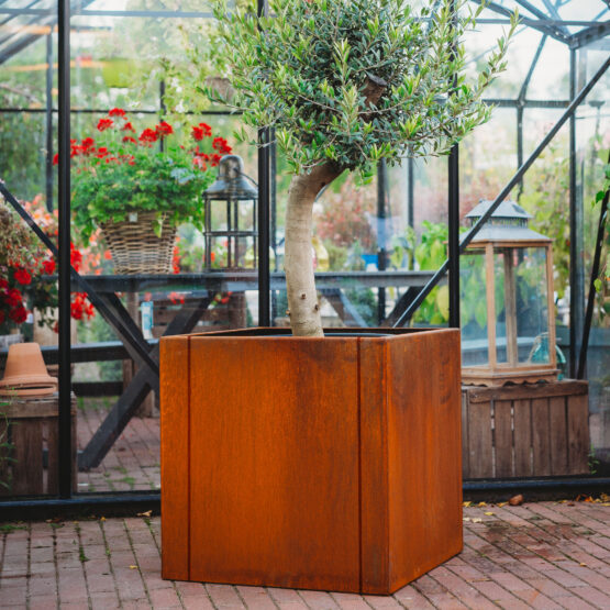 Petteri Wiimaa Corten istutuskast Clara 3XL