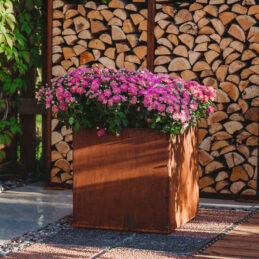 Petteri Wiimaa Corten istutuskast Fiora XL