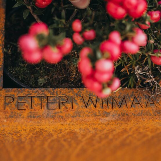 Petteri Wiimaa Corten istutuskast Fat Ballerina XL ERIHINNAGA PIIRATUD KOGUS